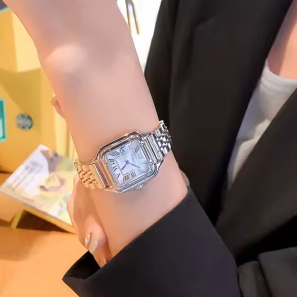 Panther silver Classic rectangle Stainless Steel Watch have size control tools - Picture 9 of 15